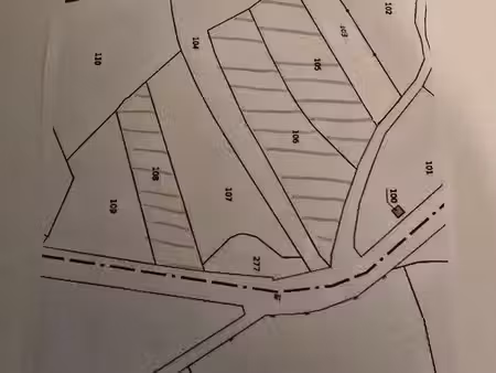 parcelles de feuillus