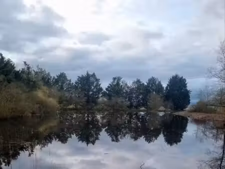 etang