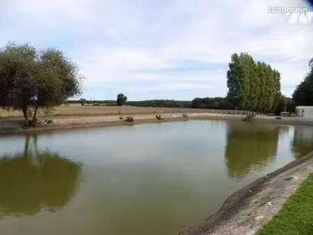 terrain 15910 m² la chapelle glain