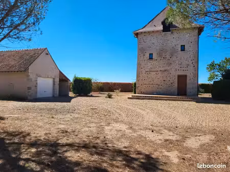 maison f2 atypique avec garage et jardin à st benoit sur loire