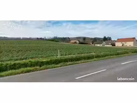 terrain agricole grauves (marne)