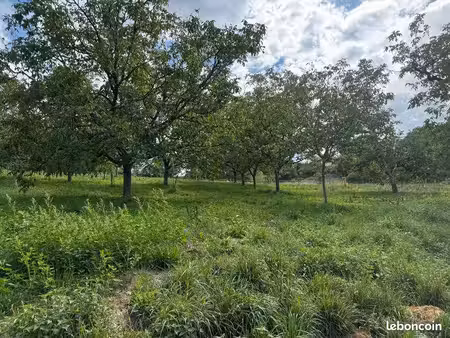 terrain 4 710 m² saint cirq souillaguet