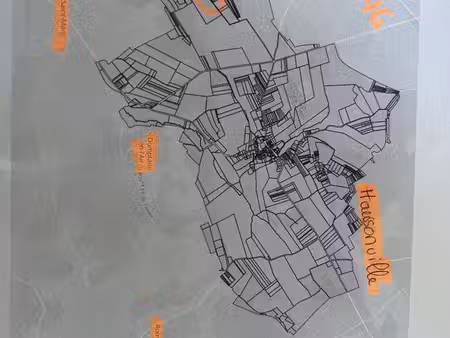 taillis bois sur le territoire de haussonville