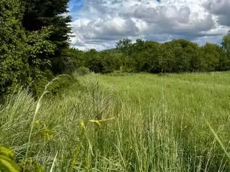 terrain 1 388 m² moncel sur seille