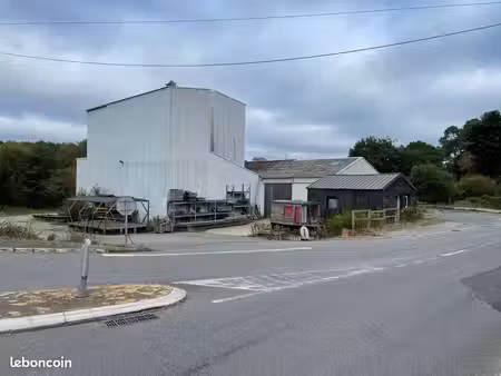 double bâtiment industriel 1250m2 couvert + maison 200m2  le tout sur 6500m2