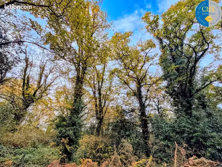 terrain 9420 m² guer