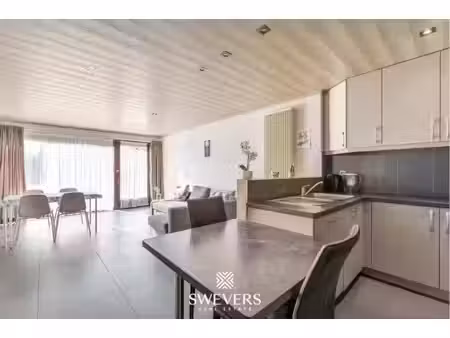 appartement à louer à hasseltsesteenweg 74 beringen (rbw82502)
