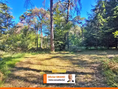 terrain de loisir boisé 2.3ha + source - proche limoges