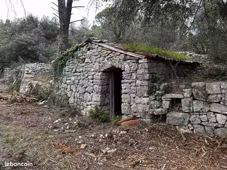 terrain 4000 m2 zone naturelle avec cabanon en pierre