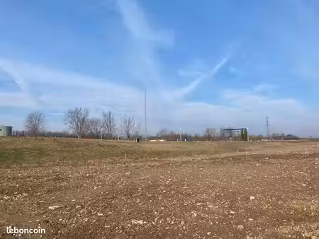 terrain 500 m² niffer