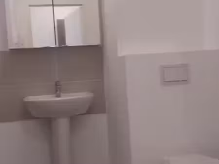 appartement 1 pièce 19 m²