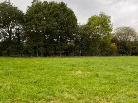 terrain 447 m² saint germain du corbeis