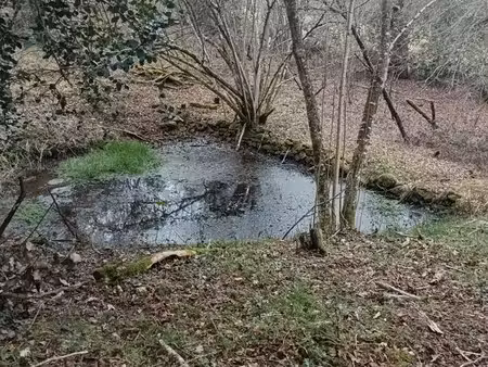 parcelle de bois et terrain agricole