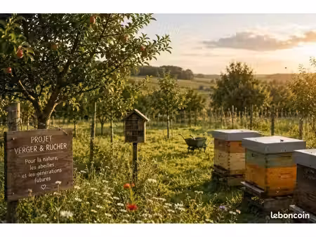 terrain agricole / non constructible