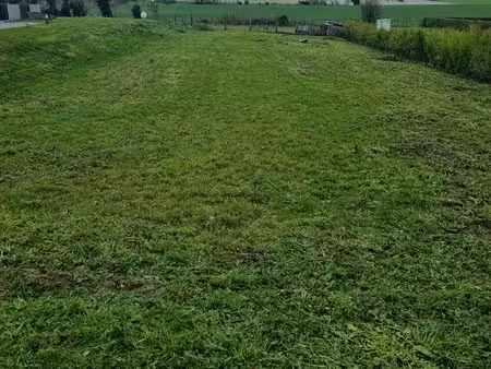 terrain constructible