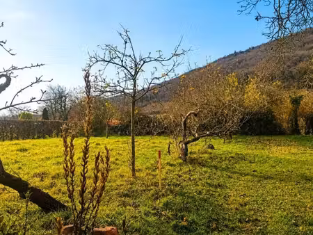 terrain 617 m² chatenois
