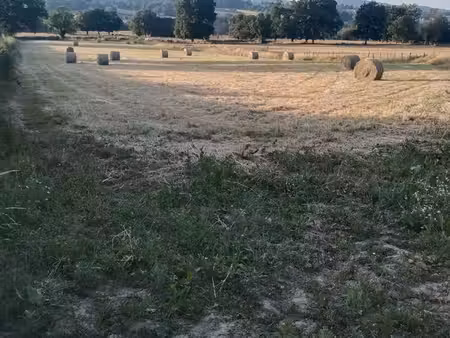 pré pâture terrain