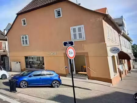 immeuble 231 m² colmar