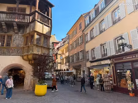 murs commerciaux 240 m² colmar