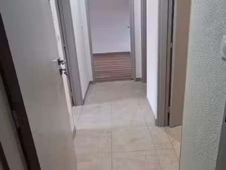 appartement 2 pièces entièrement rénové