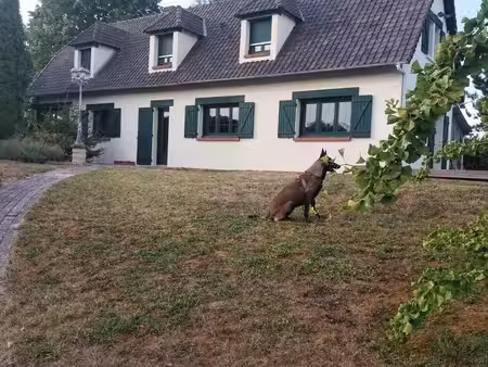 maison 6 pièces 139 m²