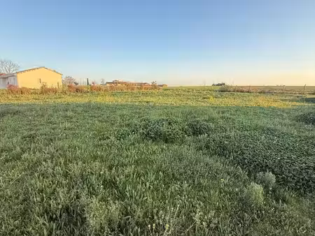 terrain à bâtir de 834 m² à serenac (81)