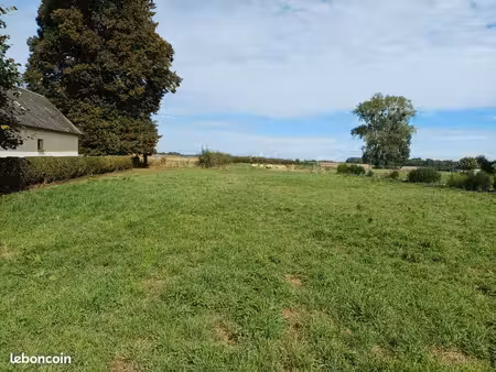 terrain