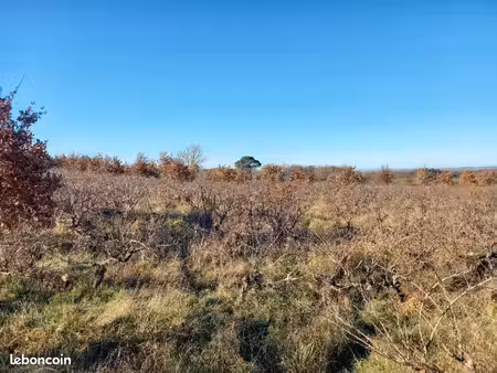 terrain 720 m² tecou