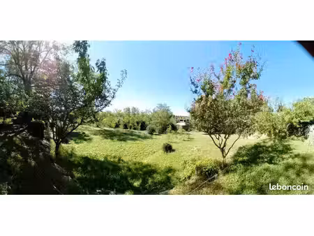 terrain arboré