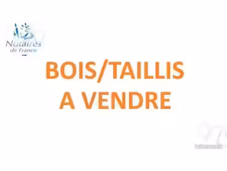 terrain 7590 m² ceaux en couhe