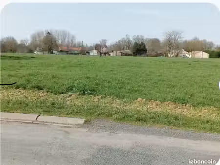 terrain agricole