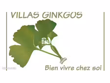 investissement locatif