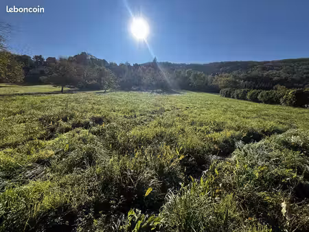 terrain 7479 m² balaguier-d'olt
