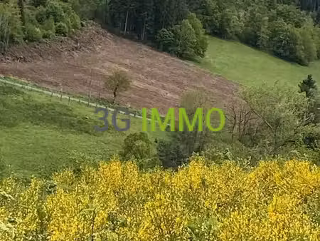 terrain