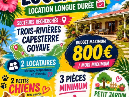 location immobilière