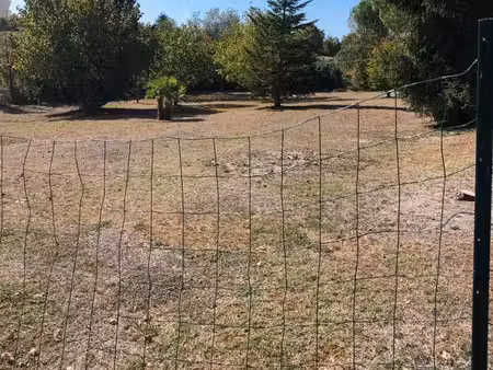 vente terrain à bâtir - 916 m2 (saintes)