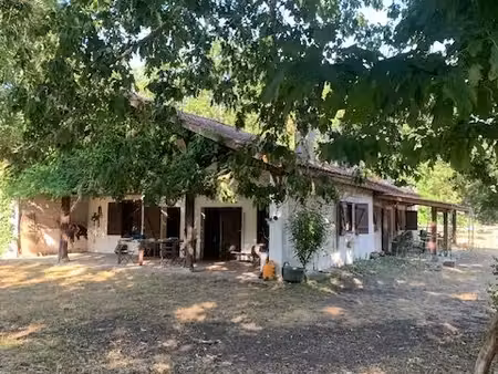 maillas - propriété landaise + maison bois - 2ha5 - landes (40