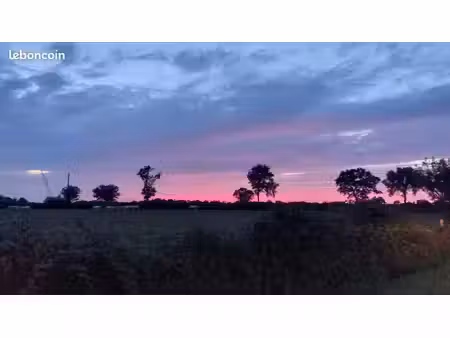 terrain de 3145 m² sur calvisson