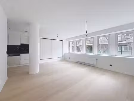 agréable 1 chambre remis à neuf !