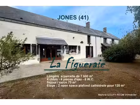 josnes (41) 'la figueraie' une maison de campagne grandeur