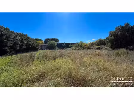 caderousse terrain à bâtir de 1 369 m2 libre constructeur 