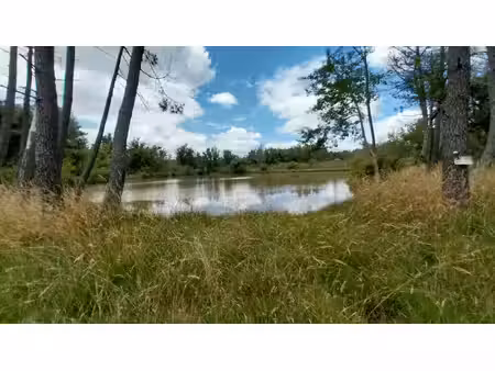 2 2 hectares avec un étang de 6000m2 plus 1 4 hectares de bo