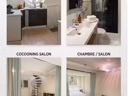 appartement meublé 32 m² souplex - nice alsace lorraine