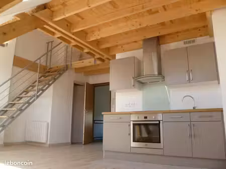 très bel appartement avec mezzanine  lumineux  agréable et fonctionnel