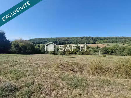 terrain 4200 m² borné  non viabilisé.