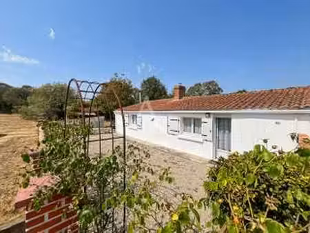 vente maison à bois-de-céné (85710) : à vendre / 50m² bois-de-céné