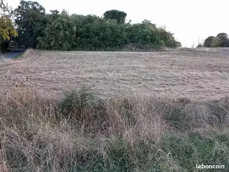 terrain constructible