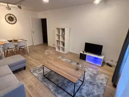 appartement hyper centre joue les tours