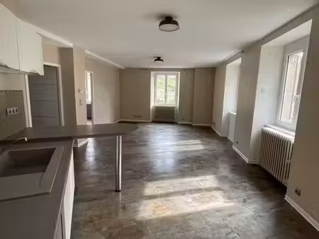 appartement t3 lumineux - boulevard richard - quais sully chalies