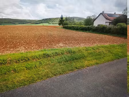 terrain buffon 1500 m2